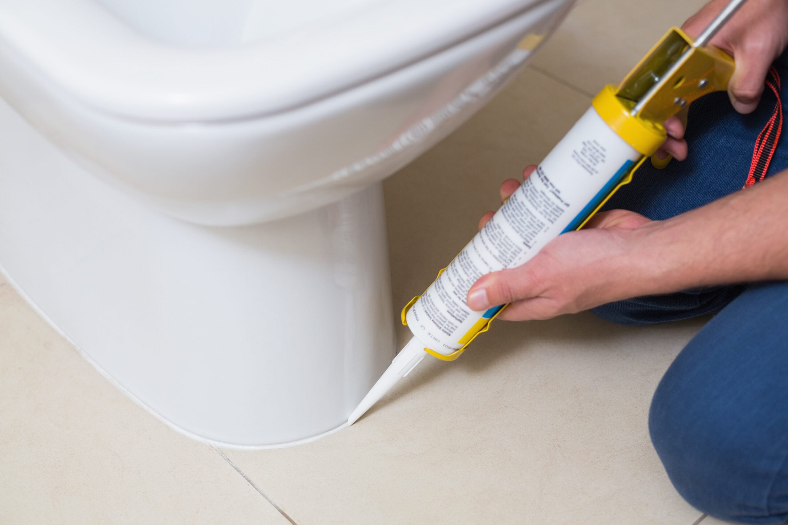 Reliable Toilet Replacement in Bellevue, WA