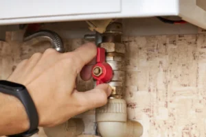 Bonney Lake Gas Electric Water Heaters