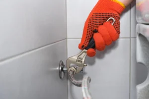 Bonney Lake Toilet Installation