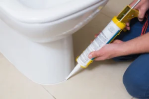 Bonney Lake Toilet Repair