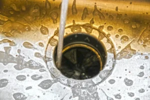 Puyallup Drain Cleaner